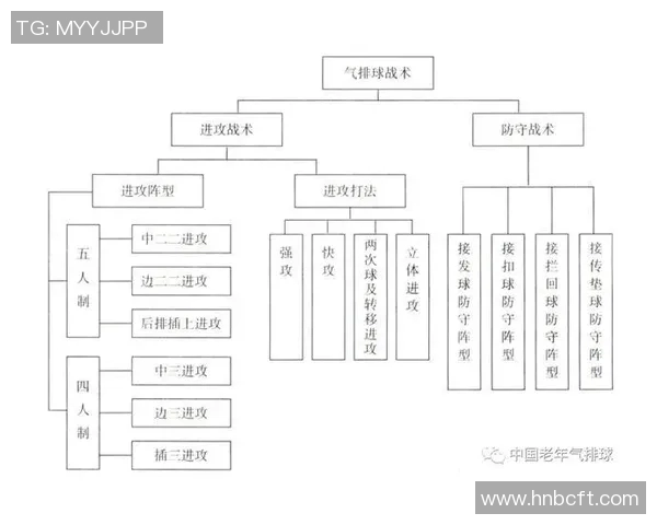 成都排球队在奥运会上的战术表现分析与点评探讨