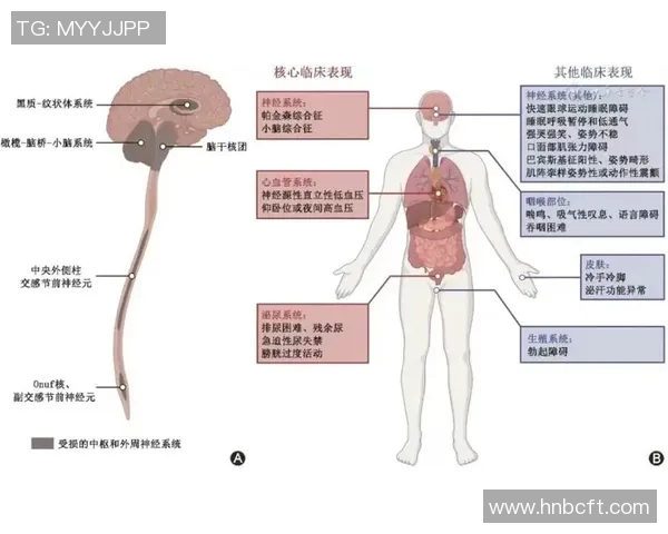 广州篮球队杯赛战术解析与表现评估全面分析 广州篮球队杯赛战术解析与表现评估全面分析