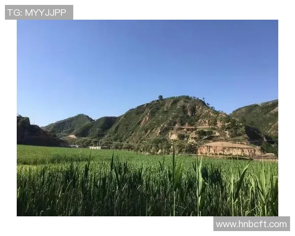 庄河足球明星全景盘点及其成就分析与发展前景探讨